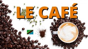 TANZANIE : Comment fait-on le café ?